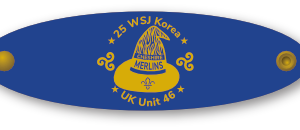 25 WSJ Unit 46 Woggle